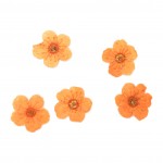 FLOWER-00