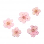 FLOWER-00