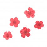 FLOWER-00