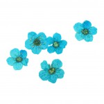 FLOWER-00