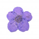 FLOWER-00