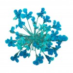 FLOWER-01
