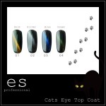 ES-CETC